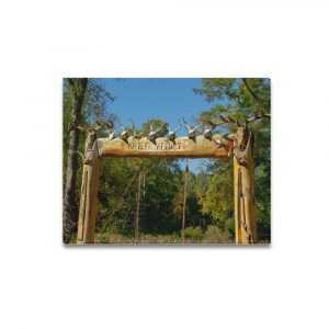 Antler Addicts Frame Canvas Print 20x16 inch